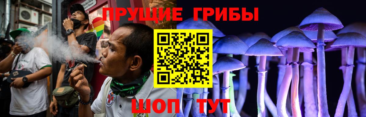 Нижний Тагил  Галлюциногенные грибы Psilocybe  Вход с VPN 